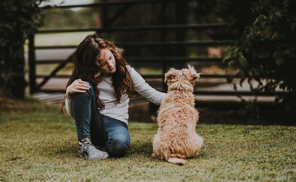 犬に触れる少女の写真